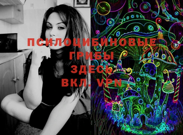 spice Верея