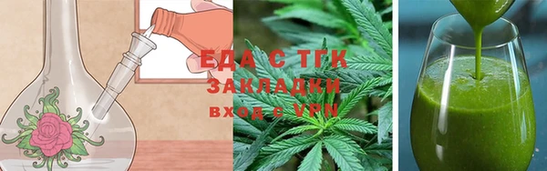 дмт Бородино