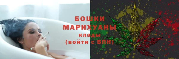 spice Верея