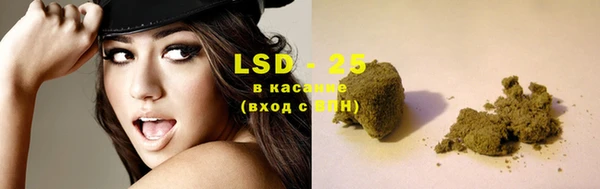 spice Верея