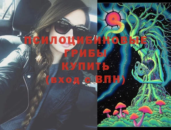 соль ск Верхний Тагил