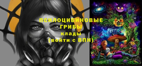 соль ск Верхний Тагил