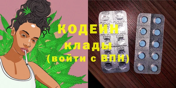 соль ск Верхний Тагил