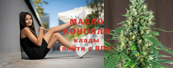 соль ск Верхний Тагил