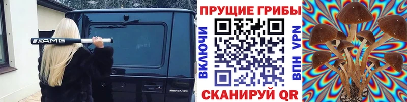 Псилоцибиновые грибы мицелий Курск