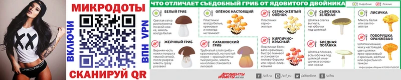 Псилоцибиновые грибы Psilocybine cubensis  Курск 